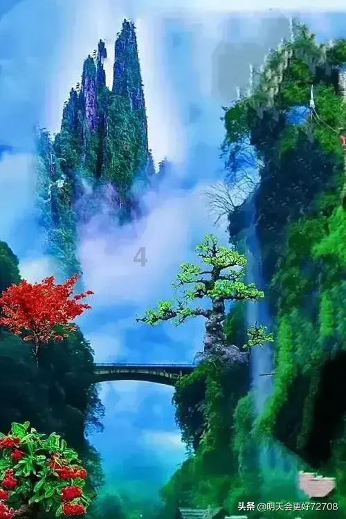 芭比娃娃的服装